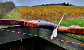 316922584 1111648889518576 1069825267096144847 N (1) 316922584 1111648889518576 1069825267096144847 N (1)