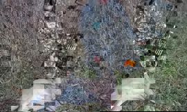 Marius Korsen Marius Korsen