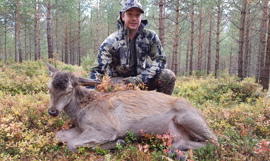 Paul Halvard Eiesar Paul Halvard Eiesar