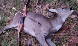 318076076 1297065694482823 2776024486024853642 N 318076076 1297065694482823 2776024486024853642 N