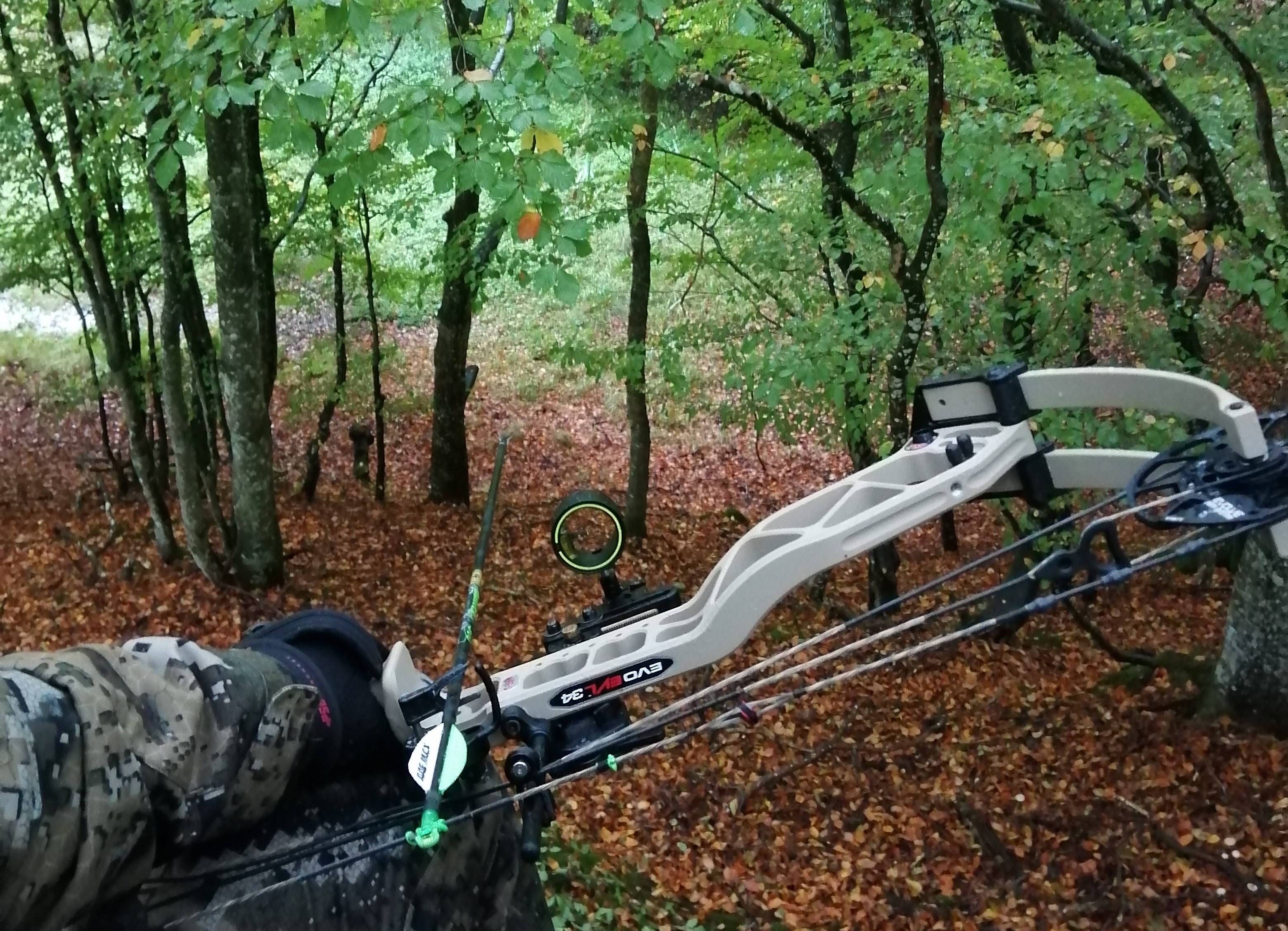 Viltforvaltningsrådet i Danmark positive til jakt på storvilt