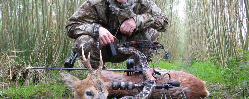 Danmark Nyvraa Raadyr Erling 2
