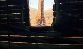 Videocapture 20240619 162535 Videocapture 20240619 162535