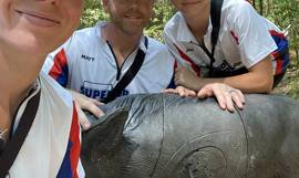 Tina Artikkel 5 Tina Artikkel 5