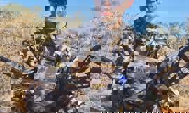 Messenger Creation Afb3f3d6 F9cf 4768 A1e1 204A9a7c8fb7 1 Messenger Creation Afb3f3d6 F9cf 4768 A1e1 204A9a7c8fb7 1