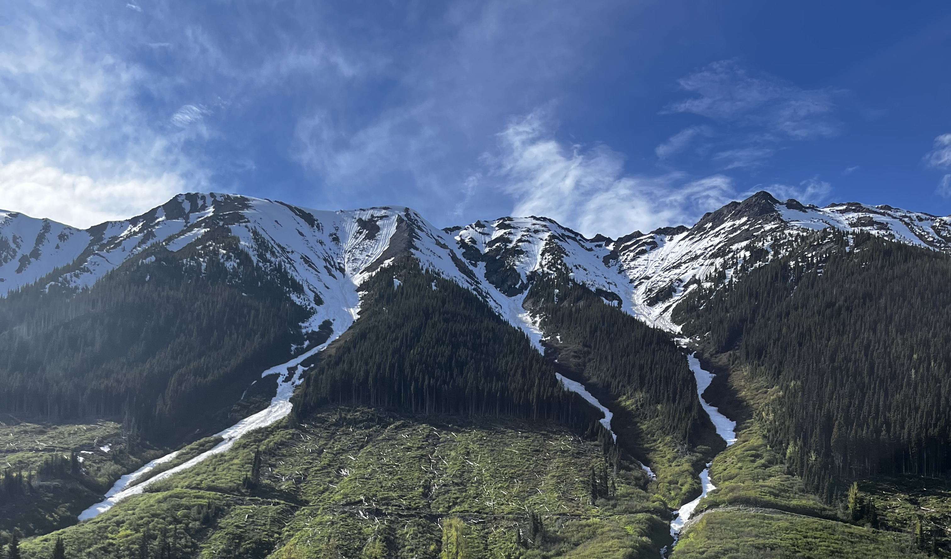 Les NBJF-medlem Ove Rørvik sin fortelling fra bjørnejakt i Canada!