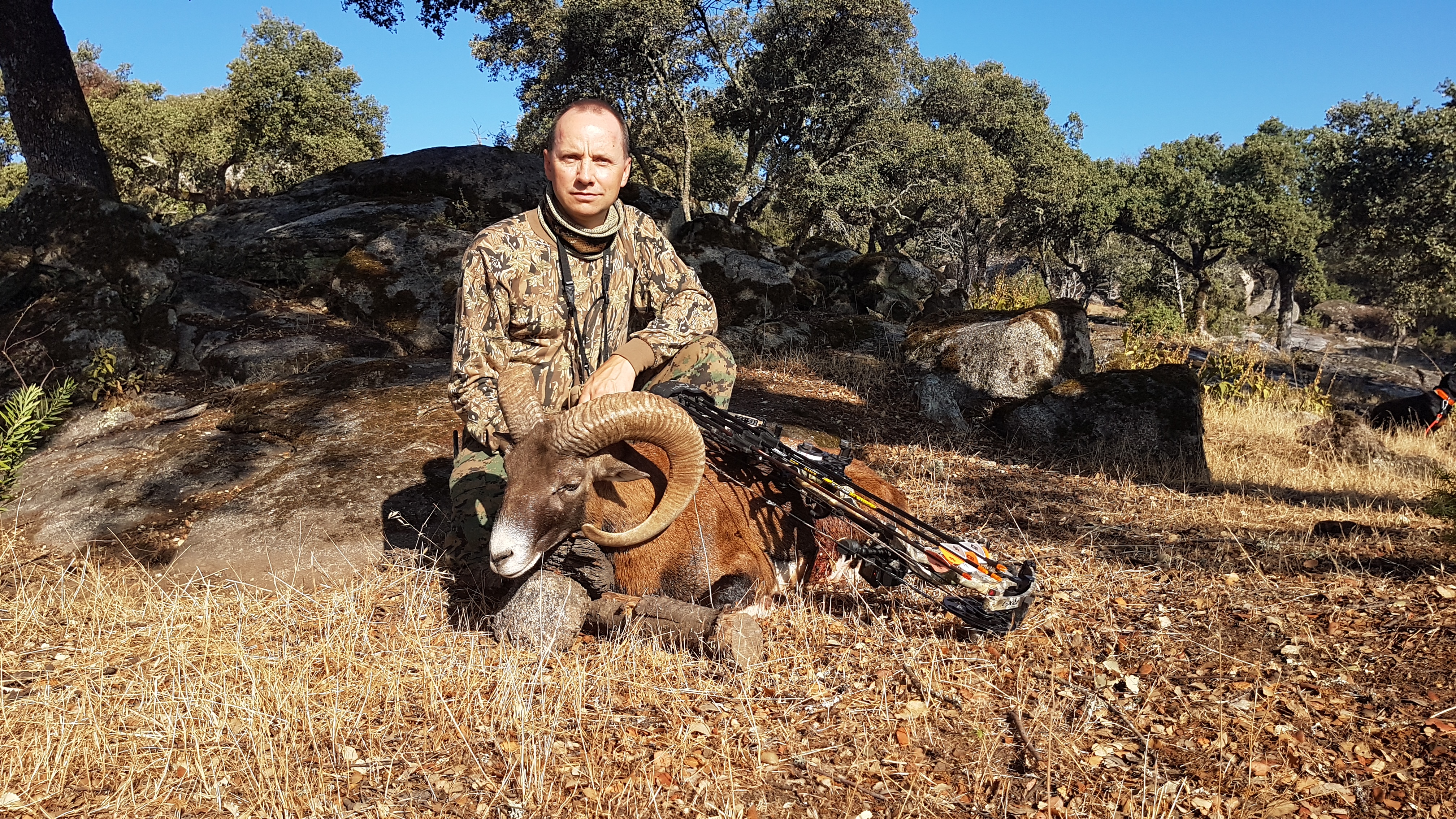 Carl Joergen Ringvold Acornland