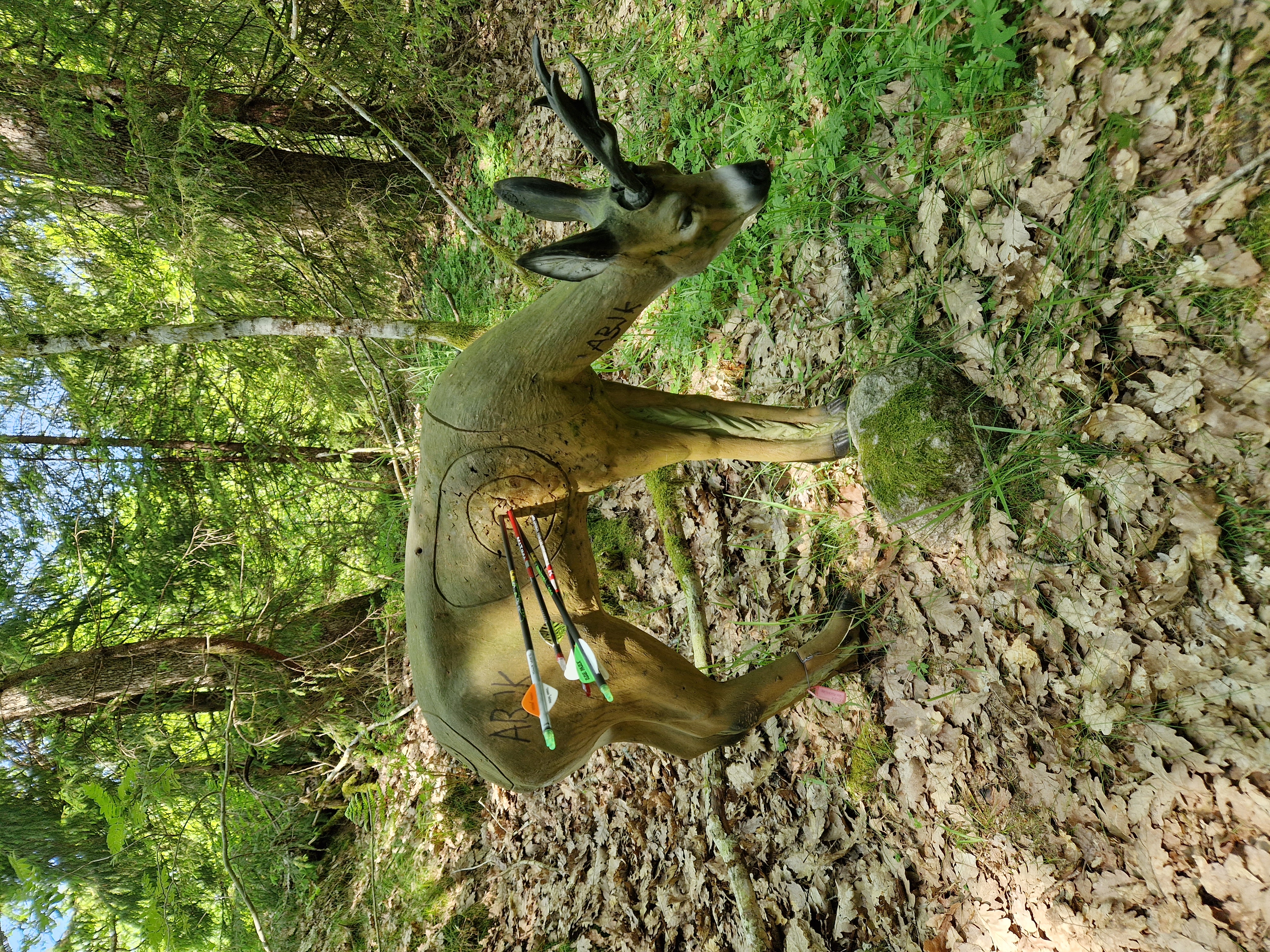 Oppdaterte stevneregler for NBJF