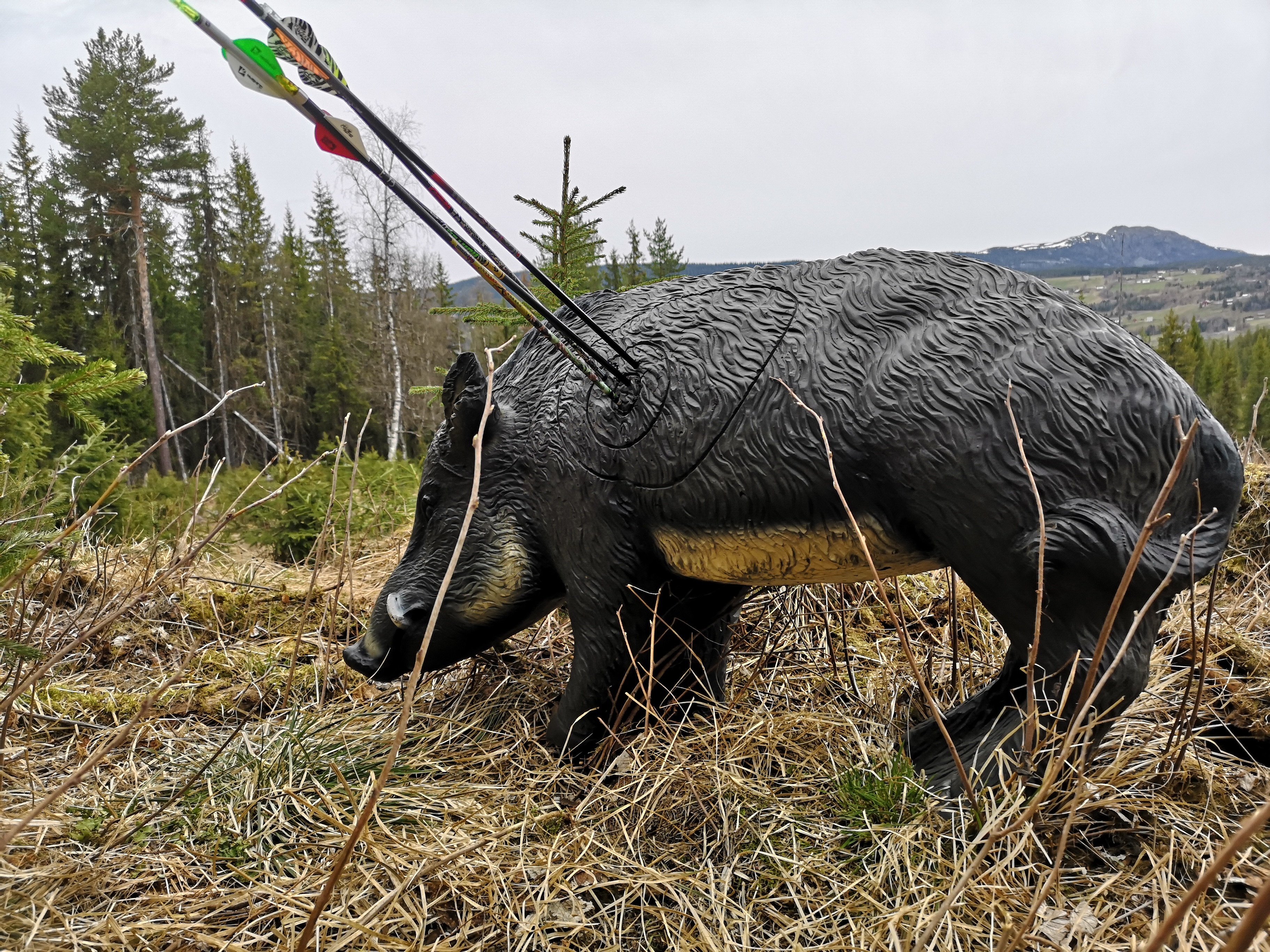 3d-løypen er tatt inn for vinteren