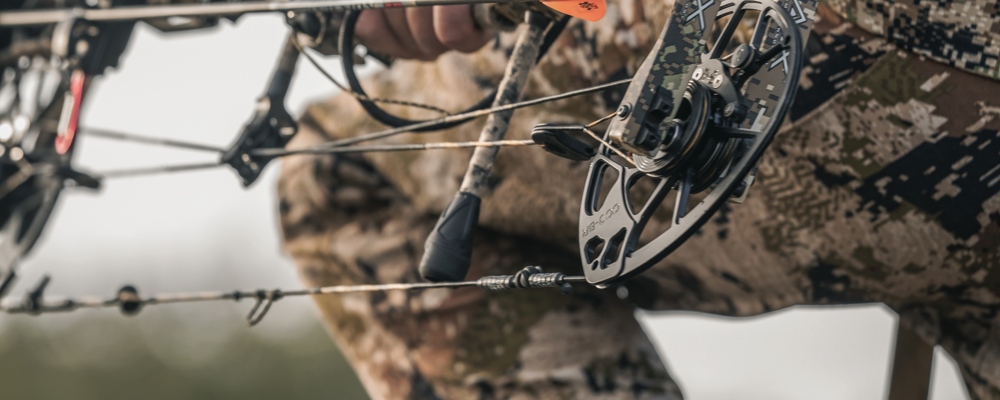 Bilde Til EBF Videosak